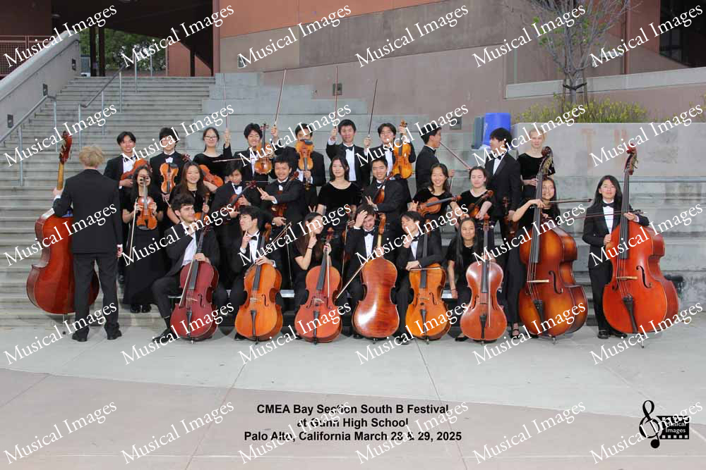 Musical Images